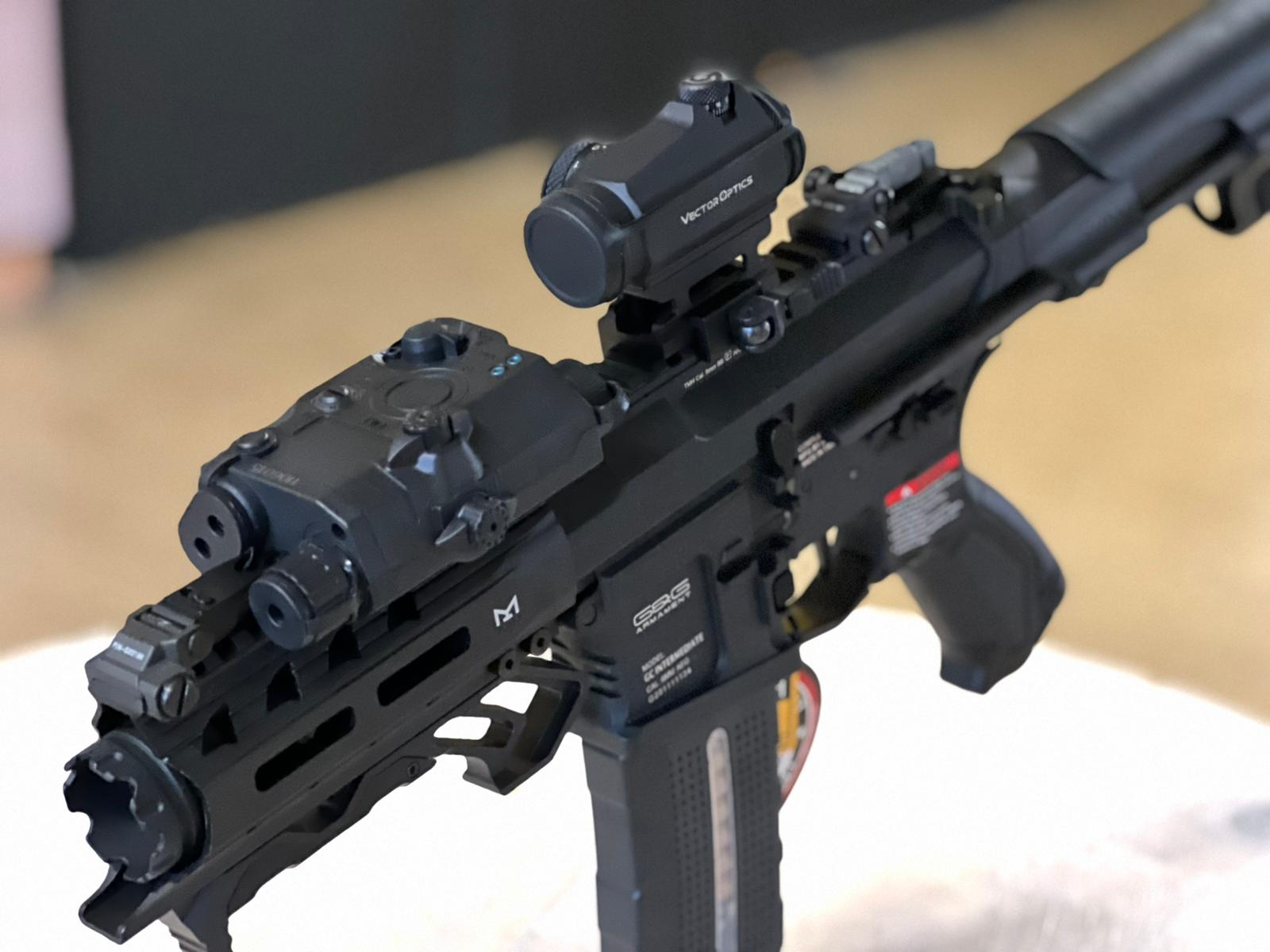 G&G ARP 556 SAEG Airsoft kompl. Set